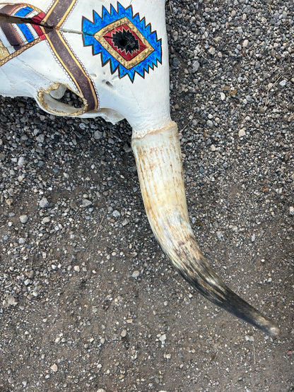 Long Horn - Hand Painted