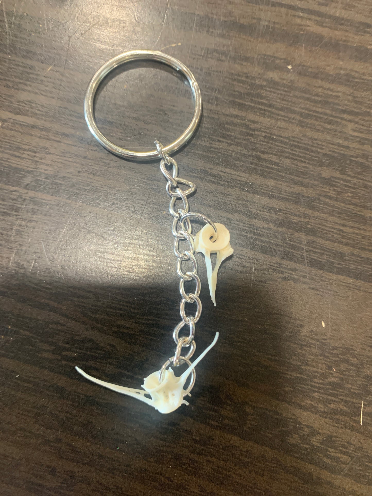 (1966) fish vertebrae keychain