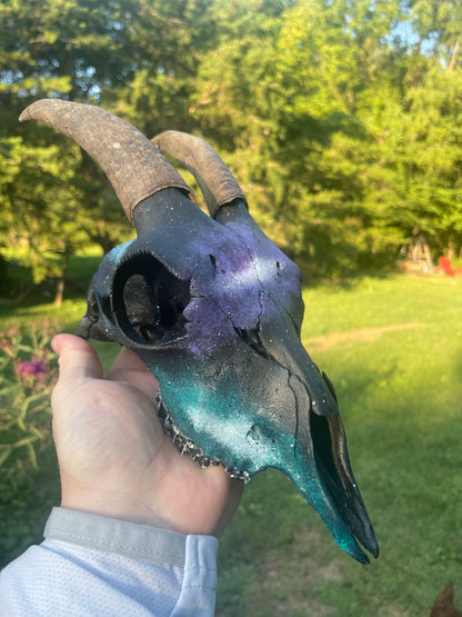 Hand painted Galaxy(Goat Skull)