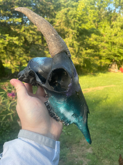 Hand painted Galaxy(Goat Skull)