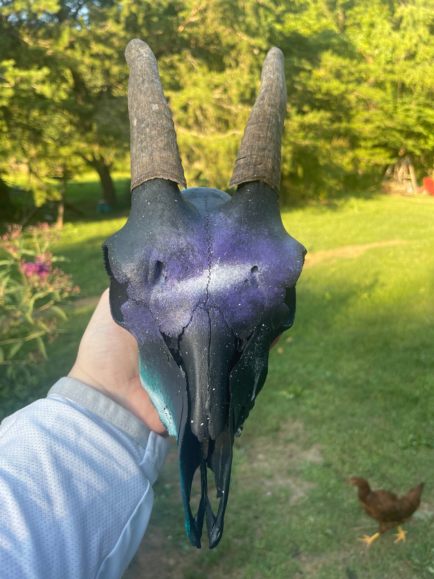 Hand painted Galaxy(Goat Skull)