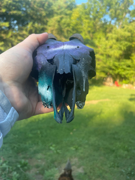 Hand painted Galaxy(Goat Skull)