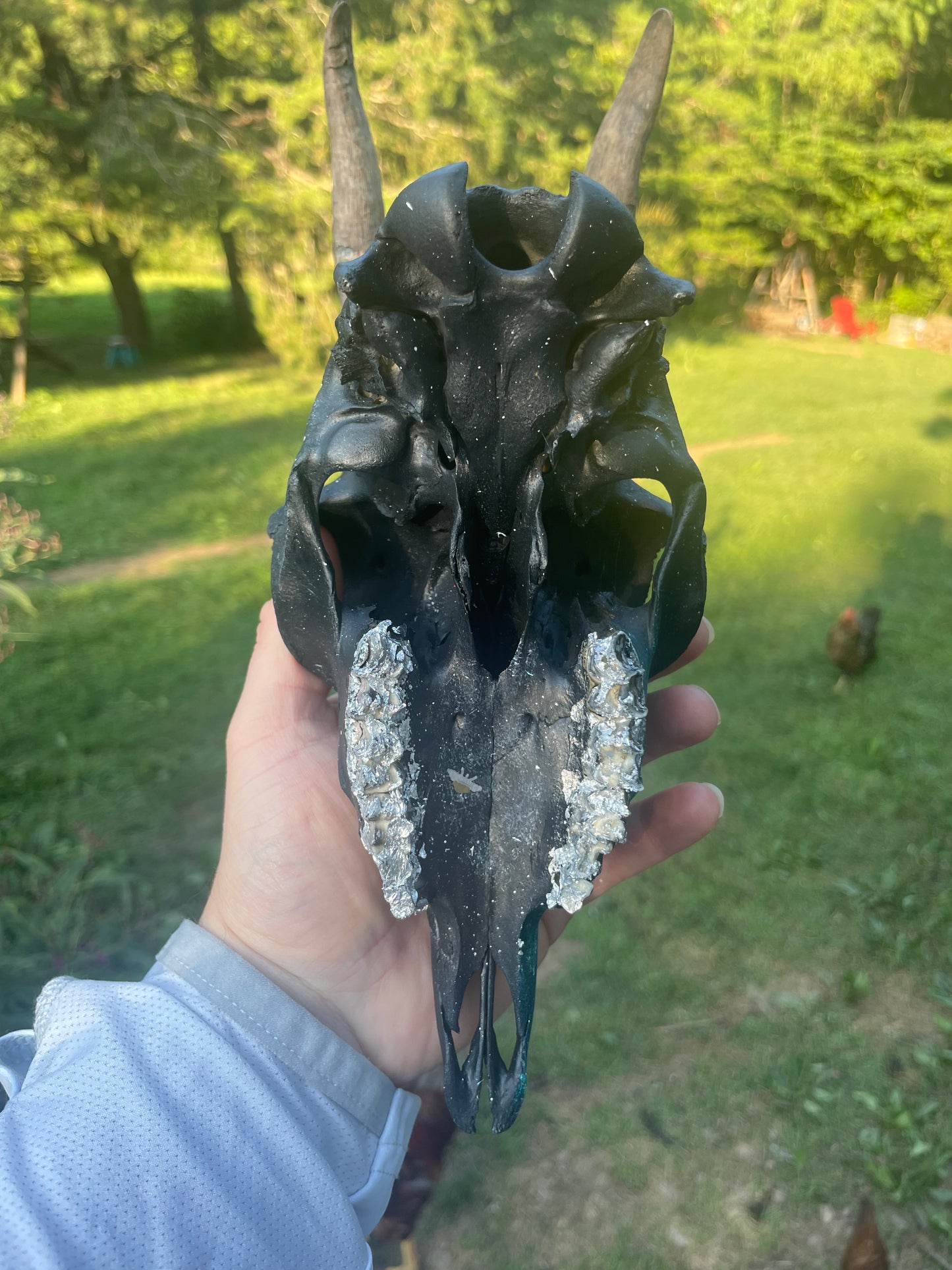 Hand painted Galaxy(Goat Skull)