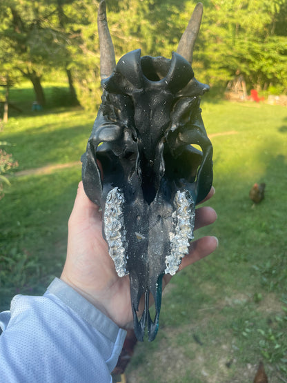 Hand painted Galaxy(Goat Skull)