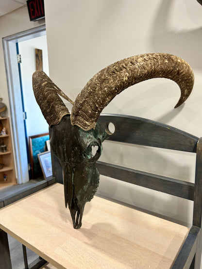 Bronzed/rustic Aoudad-(228)