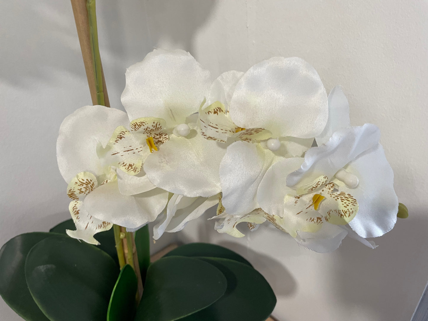 Artificial Orchid (156)