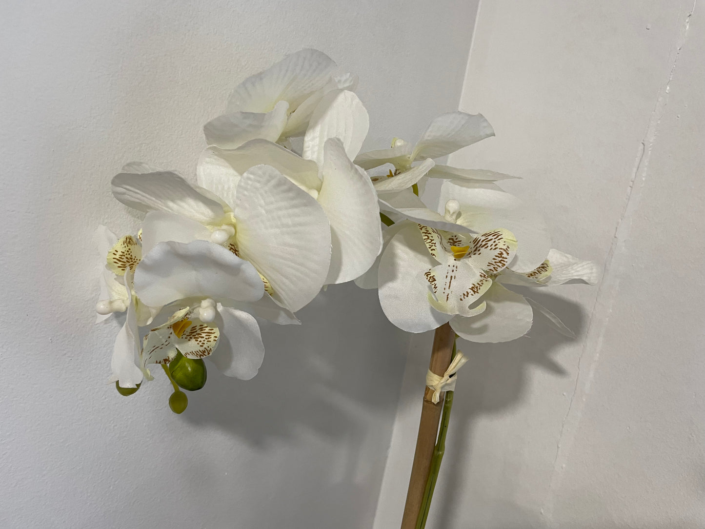 Artificial Orchid (156)