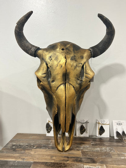 Aged bison skull-(258)