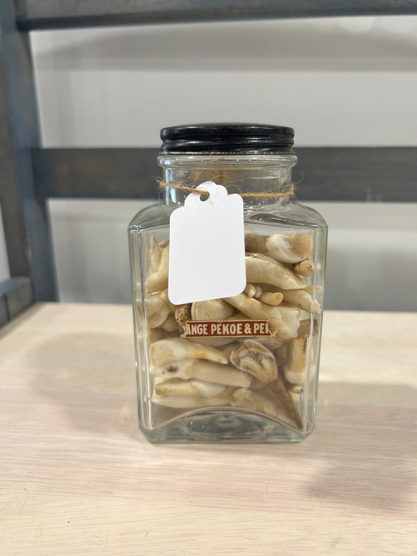 Large jar of domestic cow teeth -(277)