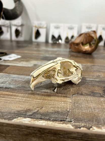 Painted rabbit skull-(282)