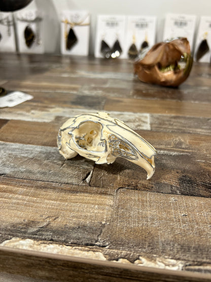 Painted rabbit skull-(282)