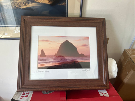 (387)-haystack rock picture