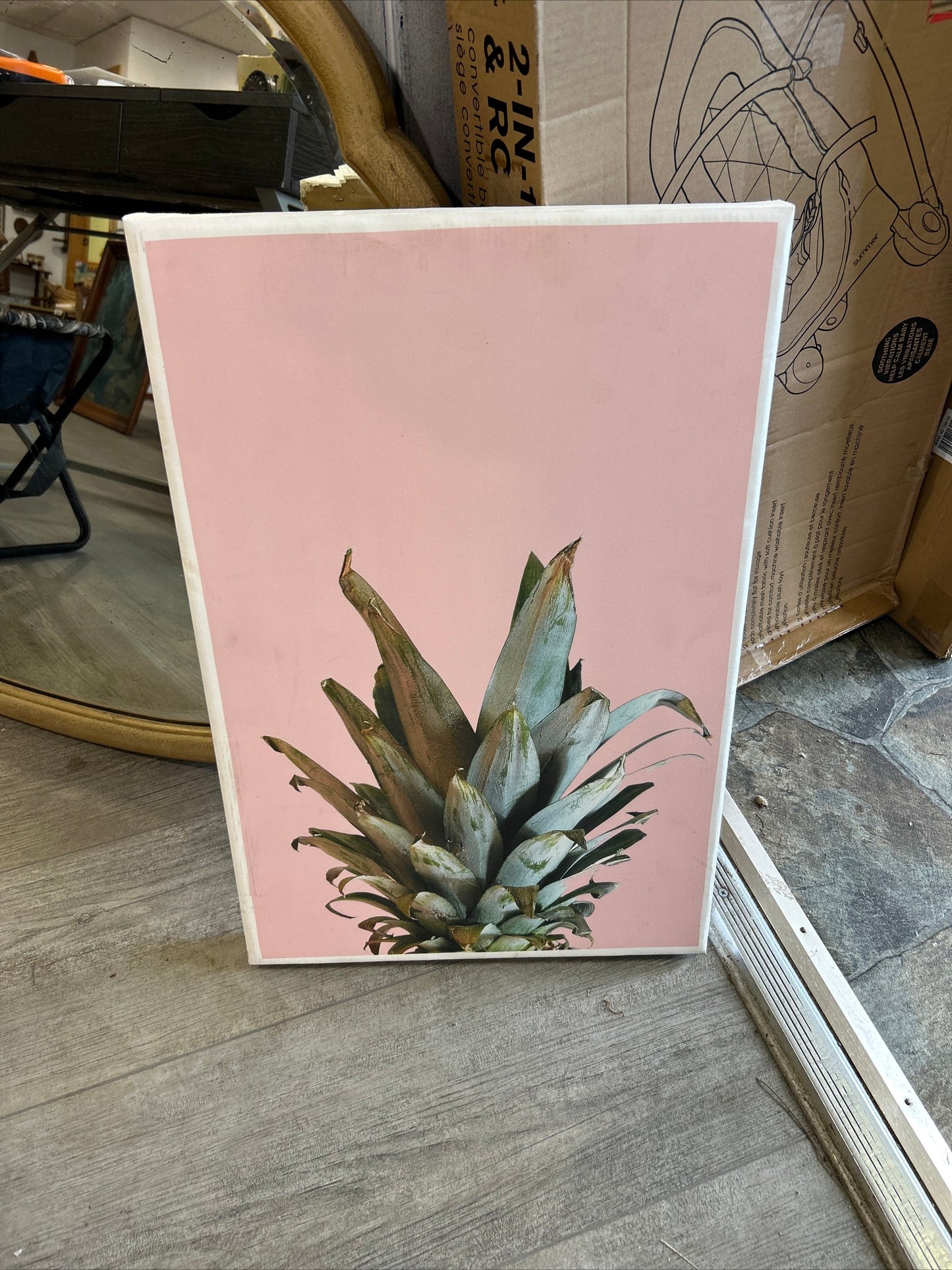 (462) Pineapple Canvas print