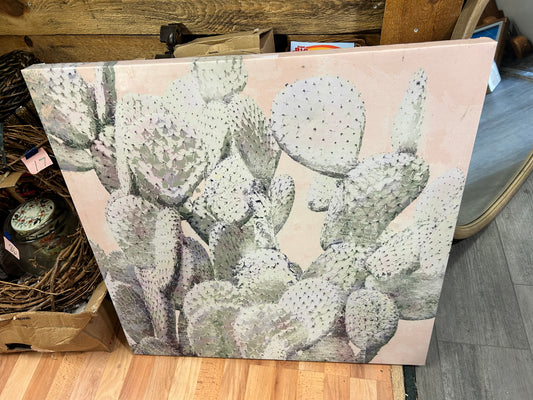 (470) Cactus canvas