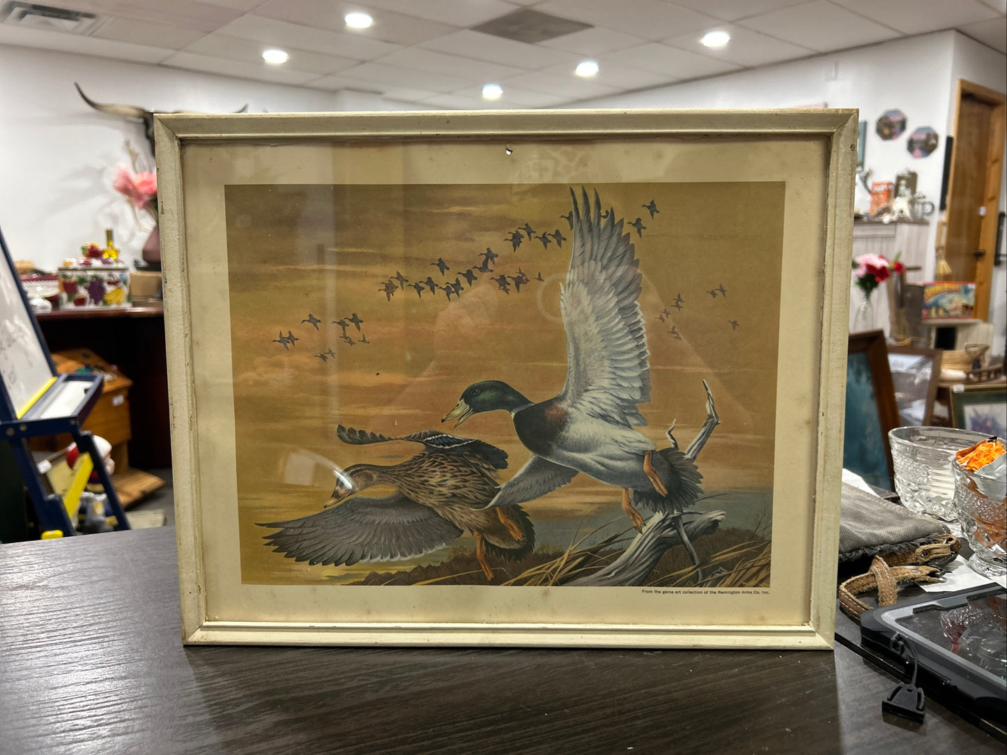 (475) Remington arms company duck picture