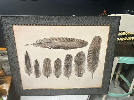 (1746) Feather picture