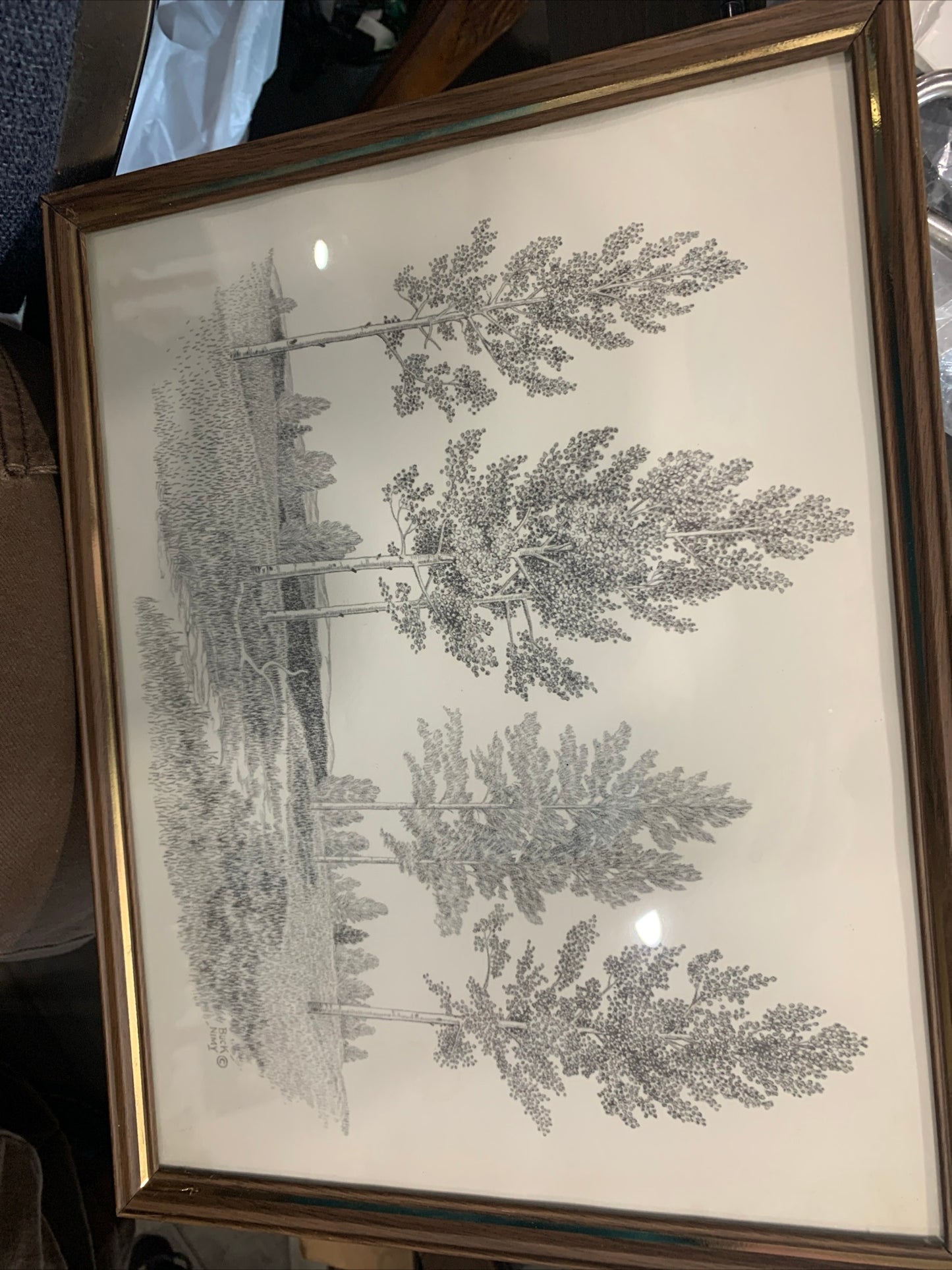 (1296) Buck nimy 1959s tree etching