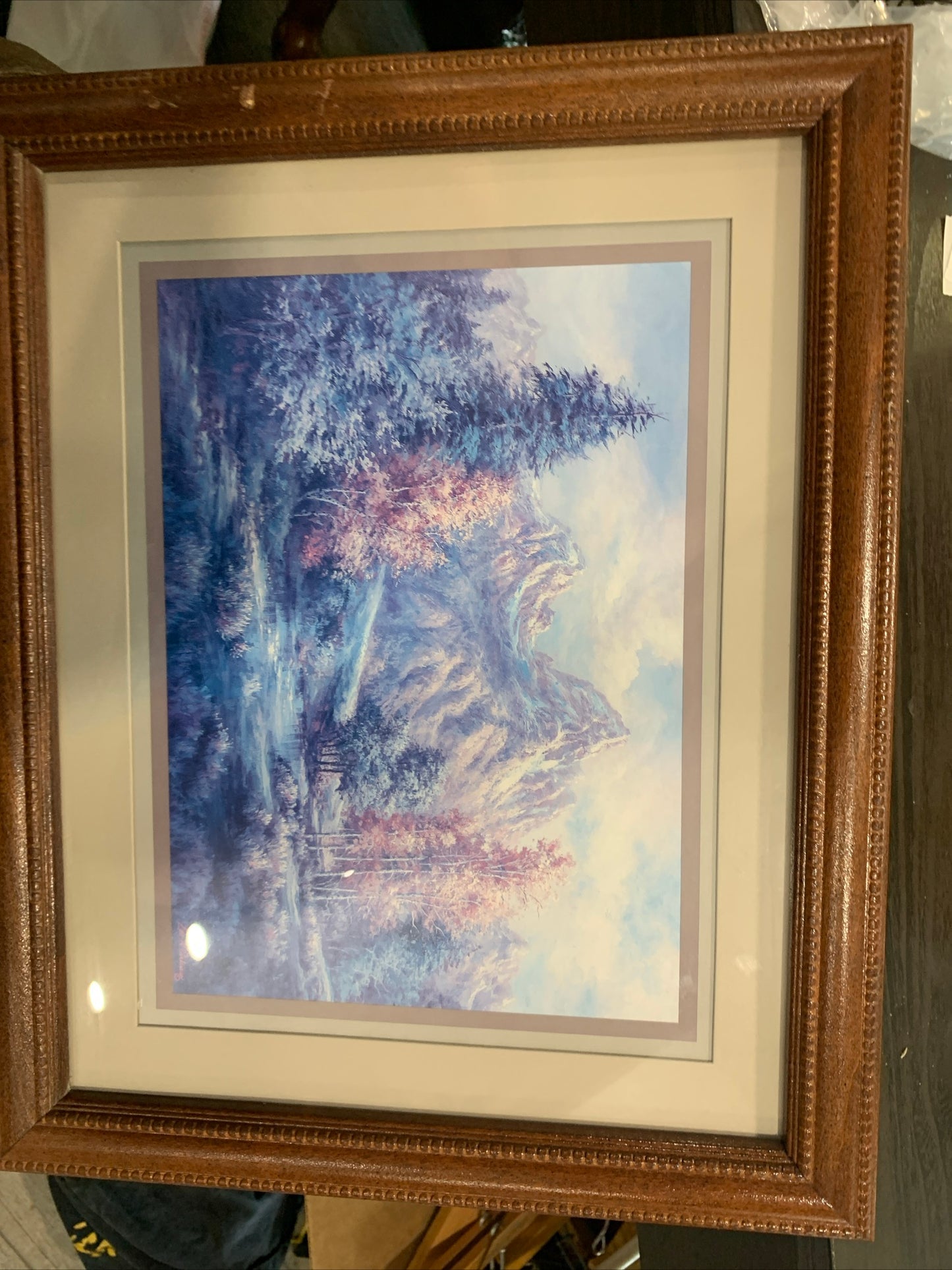 (1320) vintage framed mountain print