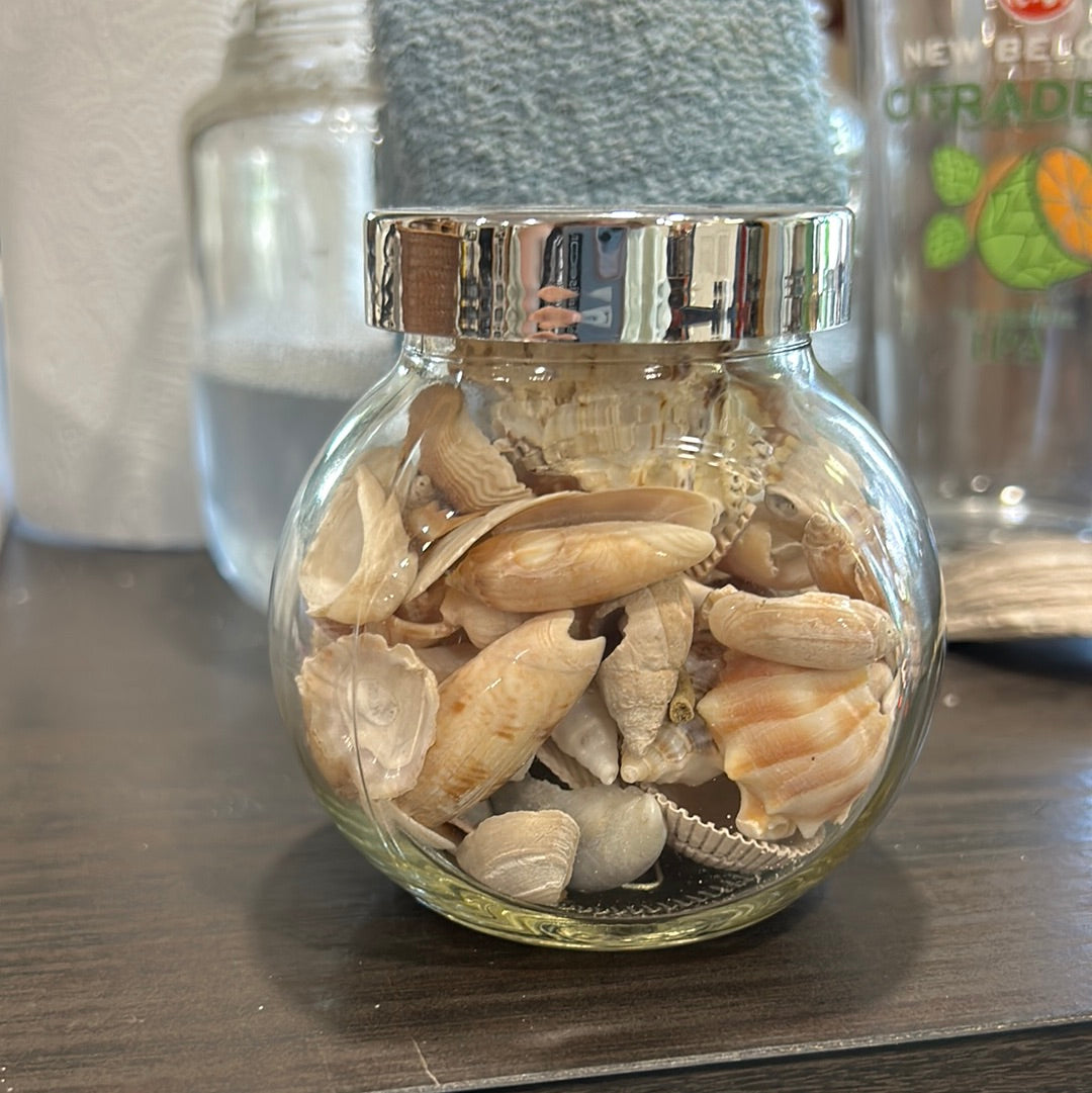 (396)- Jar of Shells