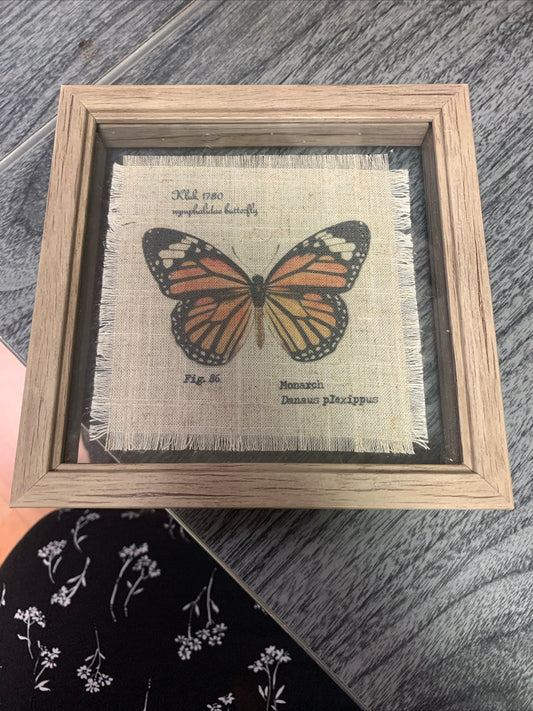 (2058) monarch on framed cloth