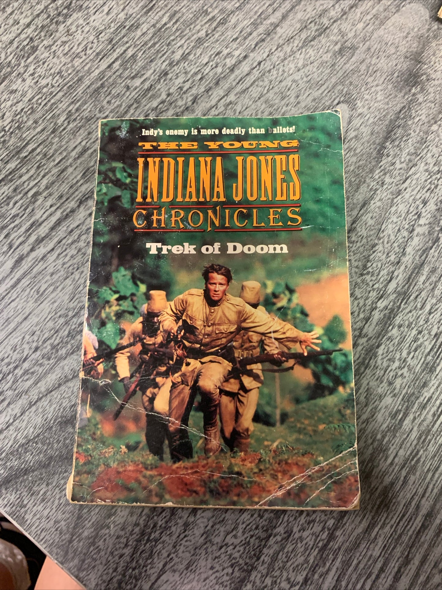 (2073) Indiana jones book